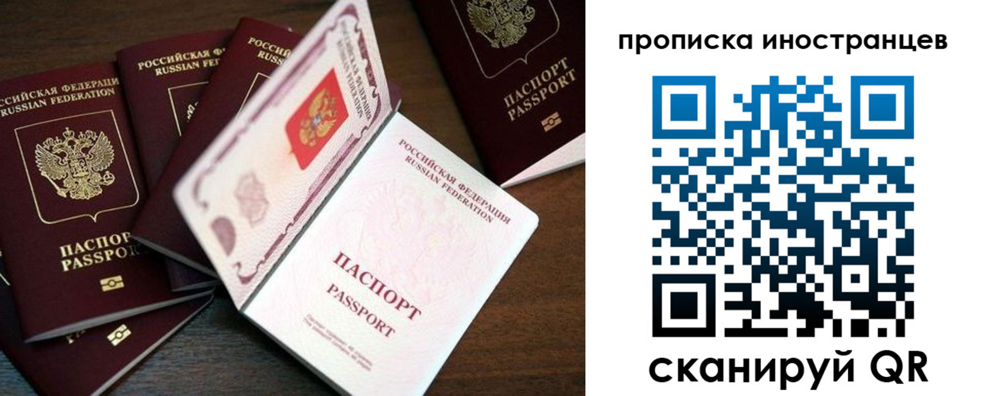 временная регистрация гарантия в Димитровграде